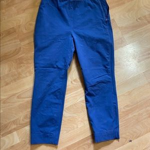 Everlane side zip stretch cotton pants